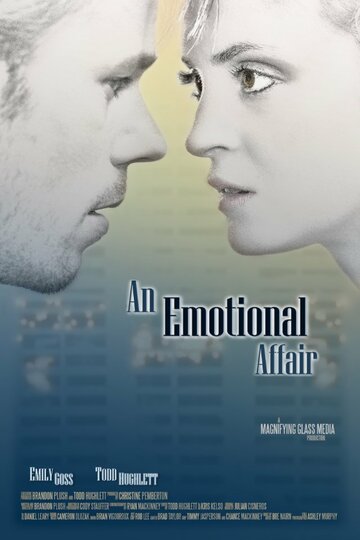 An Emotional Affair (2013)