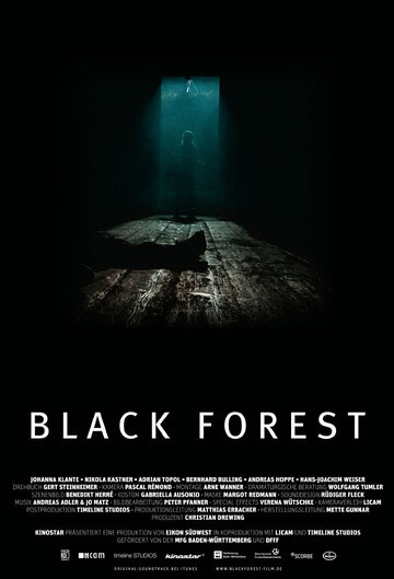 Темный лес (2010)