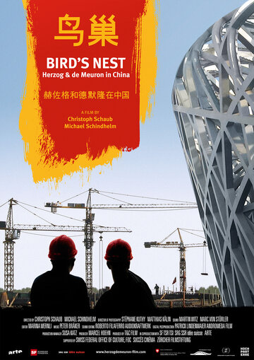 Bird's Nest - Herzog & De Meuron in China (2008)