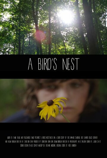 A Bird's Nest (2014)